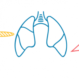 Malaria, TB, and HIV icons